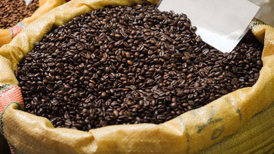 Ukrainian Grain Market