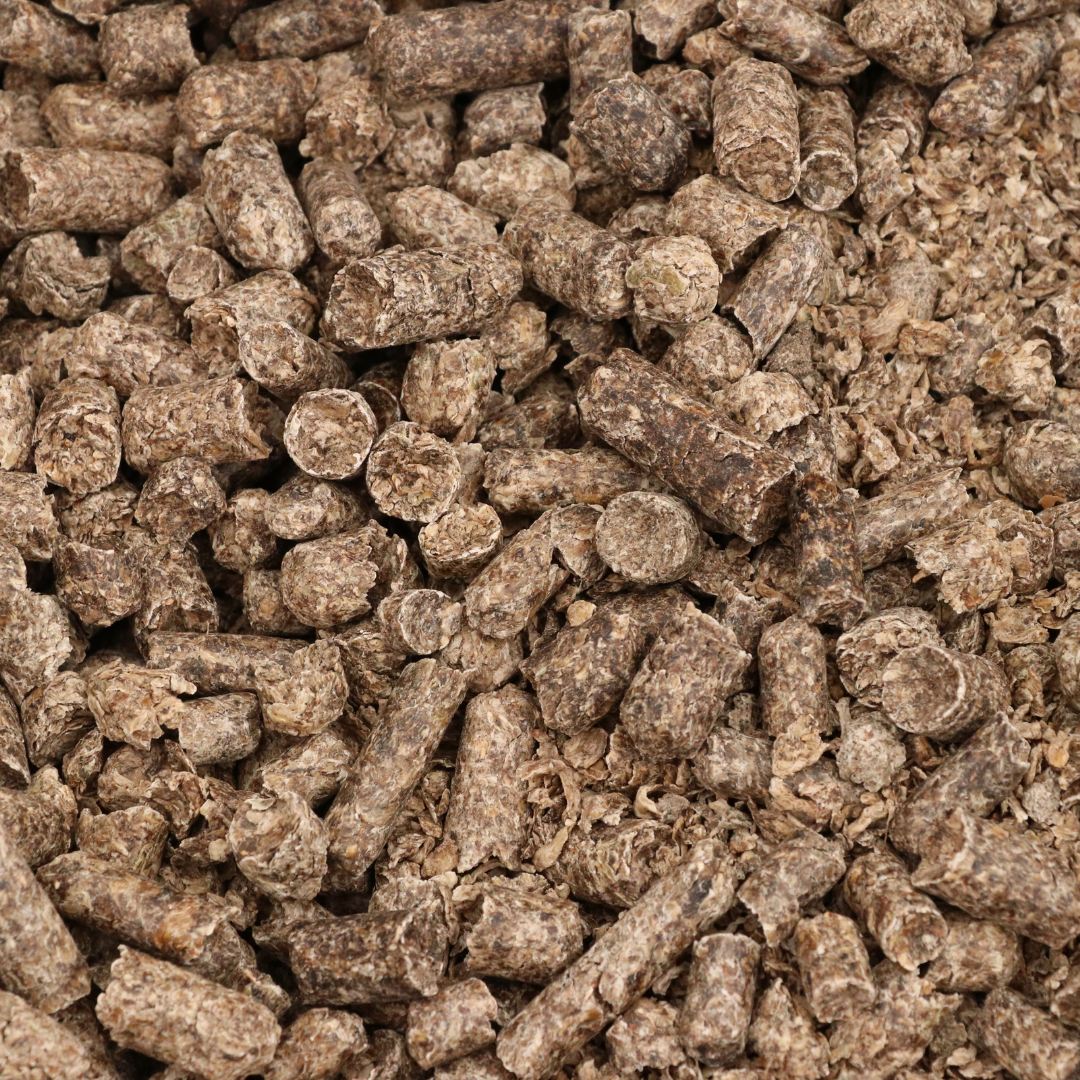 Beet Pulp