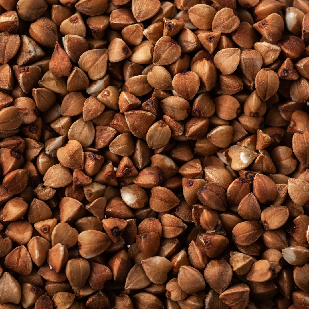 Buckwheat