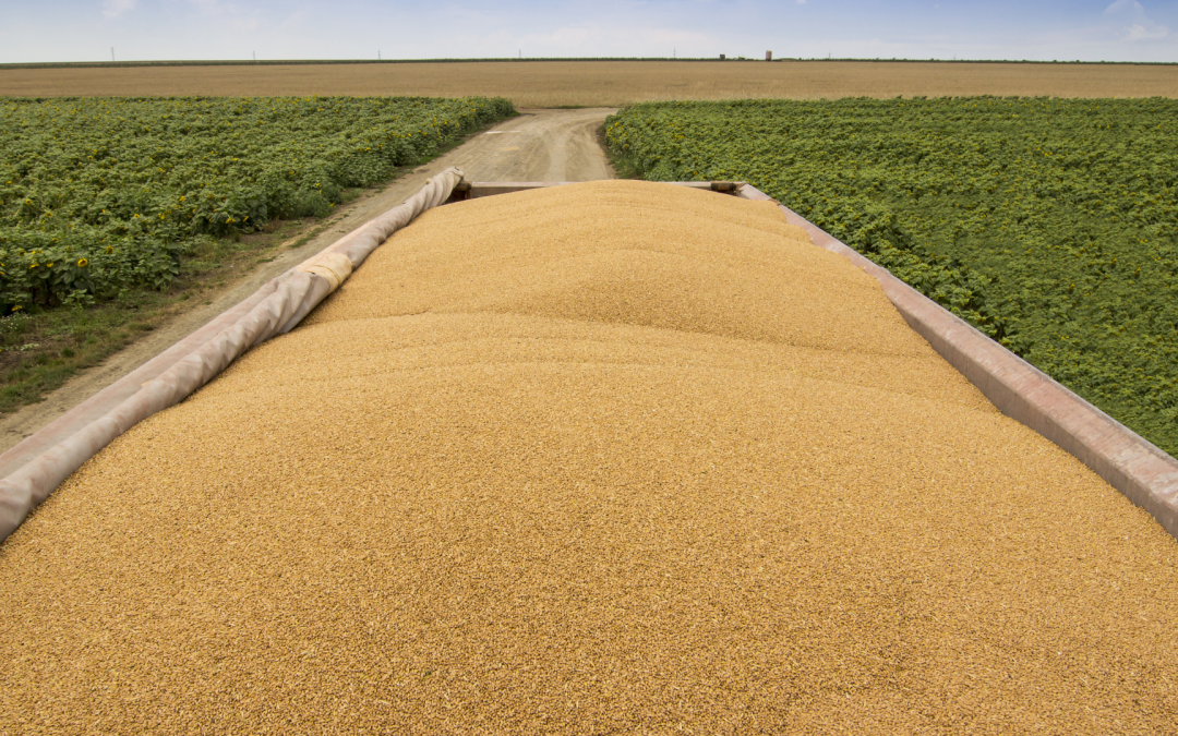 Latest Crops Market